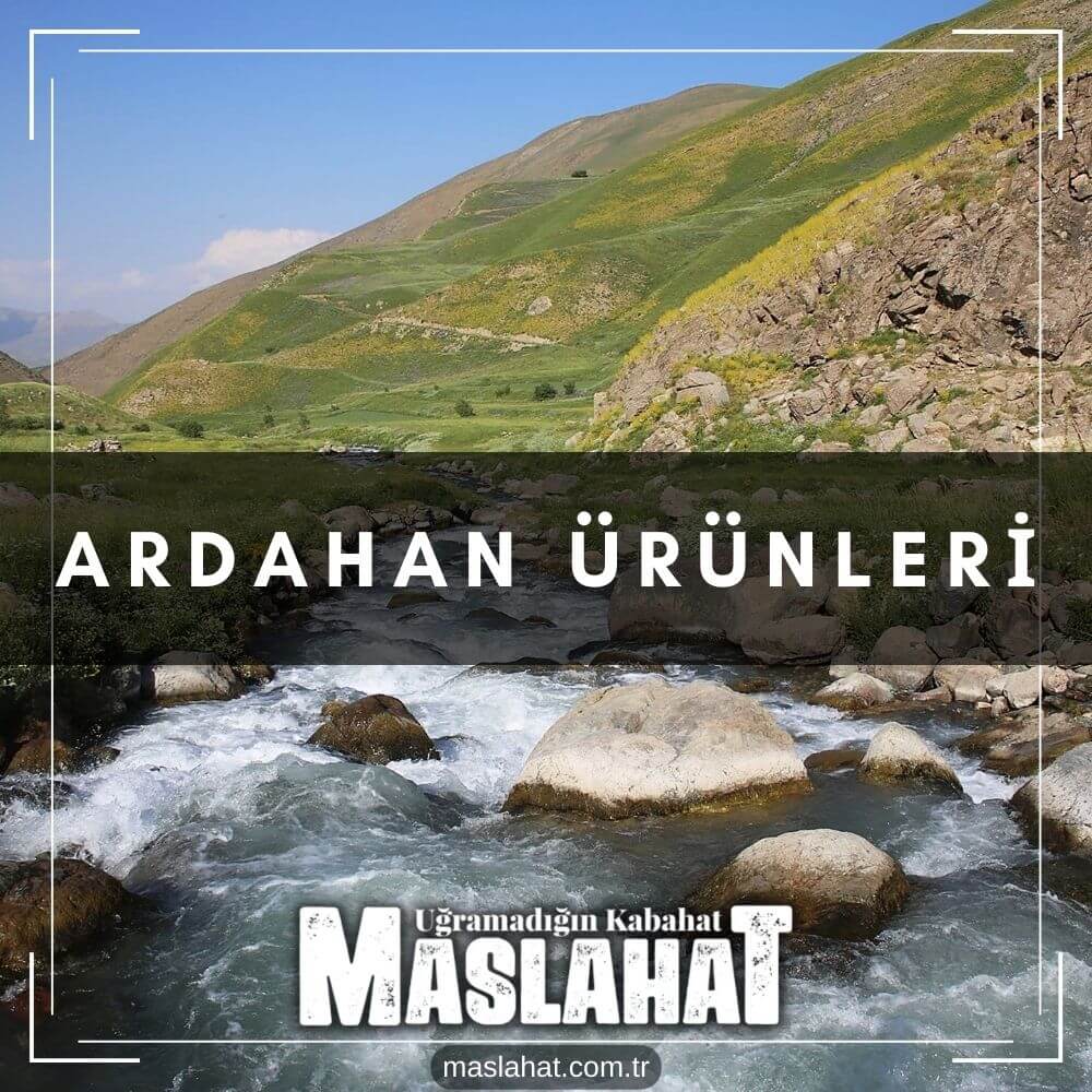 Ardahan Ürünleri