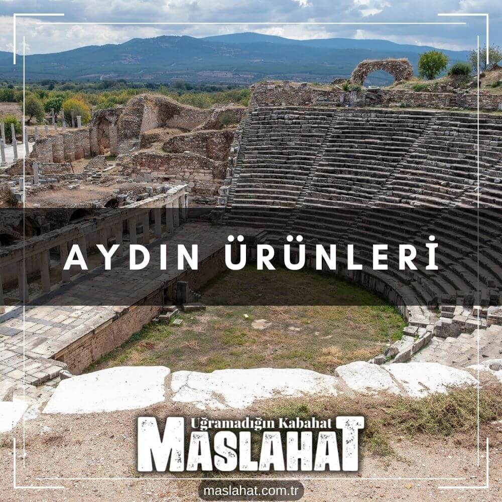 Aydın Ürünleri
