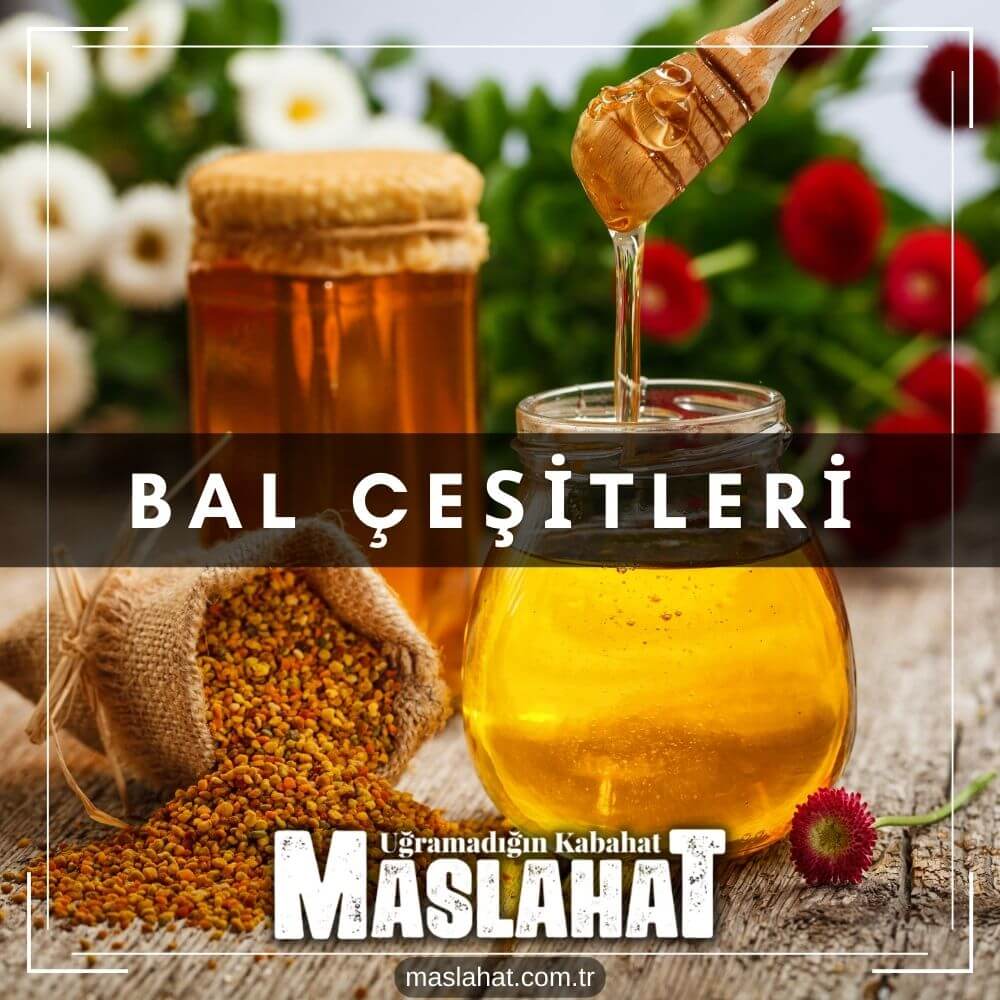 Bal Çeşitleri