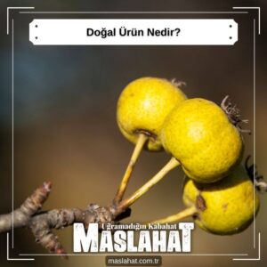 Doğal Ürün Nedir