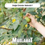 Doğal Ürünler Nelerdir