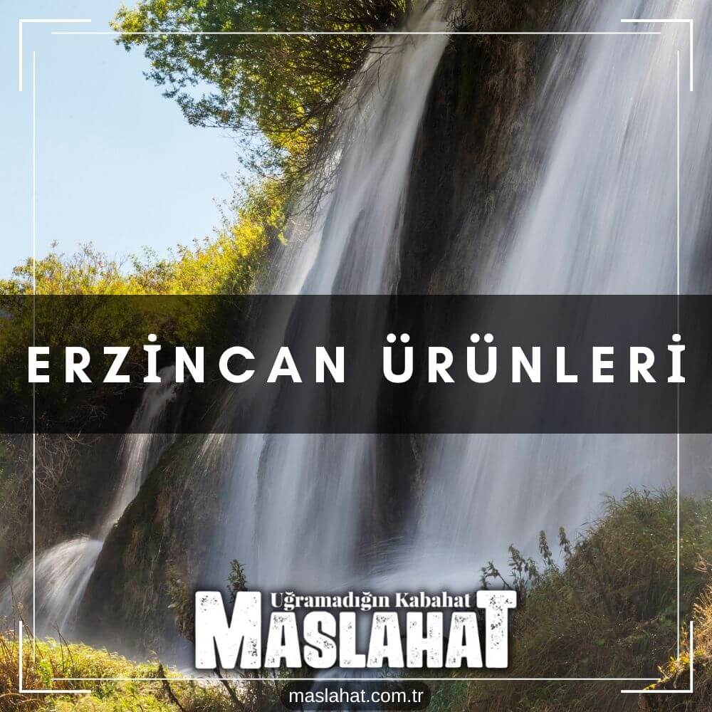 Erzincan Ürünleri