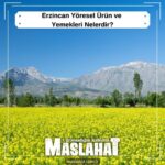 Erzincan Yöresel Ürün ve Yemekleri Nelerdir