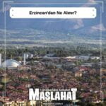 Erzincan'dan Ne Alınır