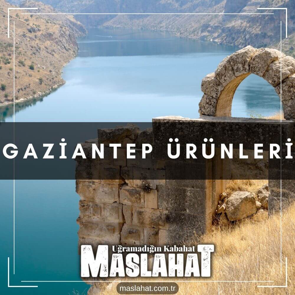 Gaziantep Ürünleri
