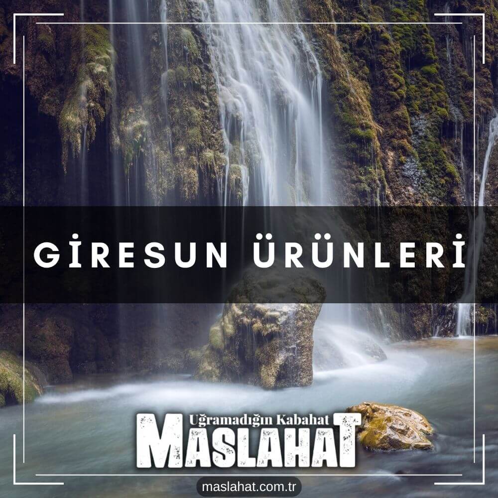 Giresun Ürünleri