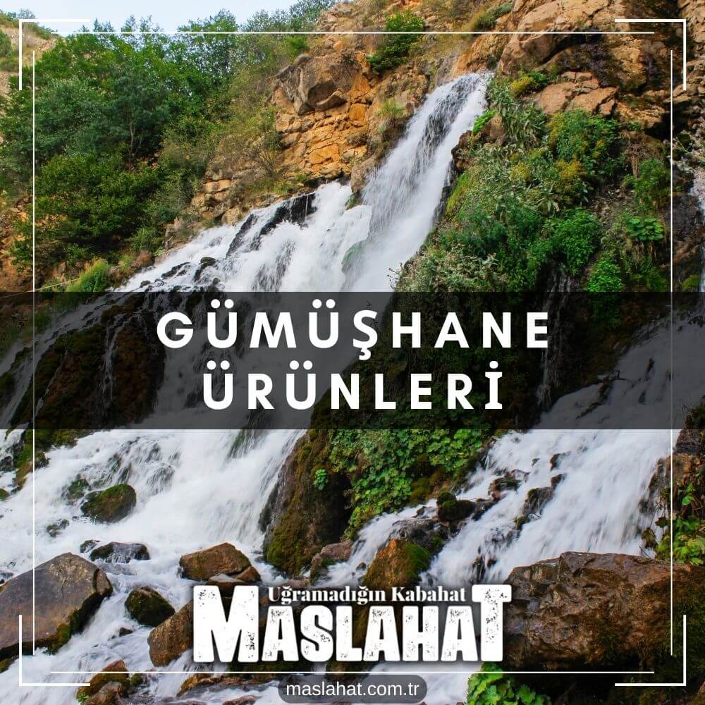 Gümüşhane Ürünleri