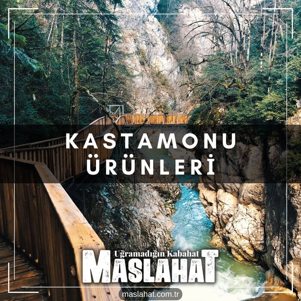 Kastamonu Ürünleri