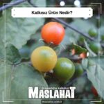 Katkısız Ürün Nedir