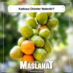 Katkısız Ürünler Nelerdir?