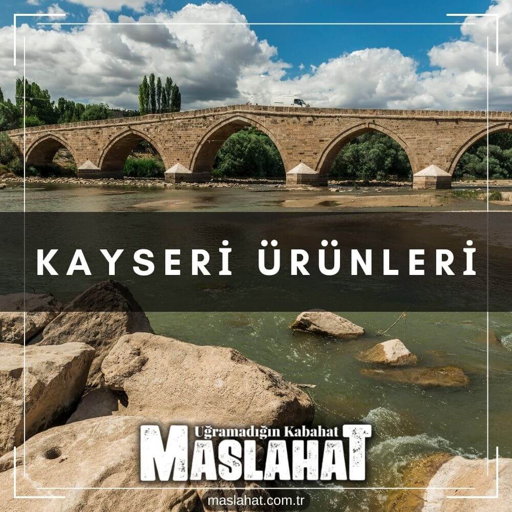Kayseri Ürünleri