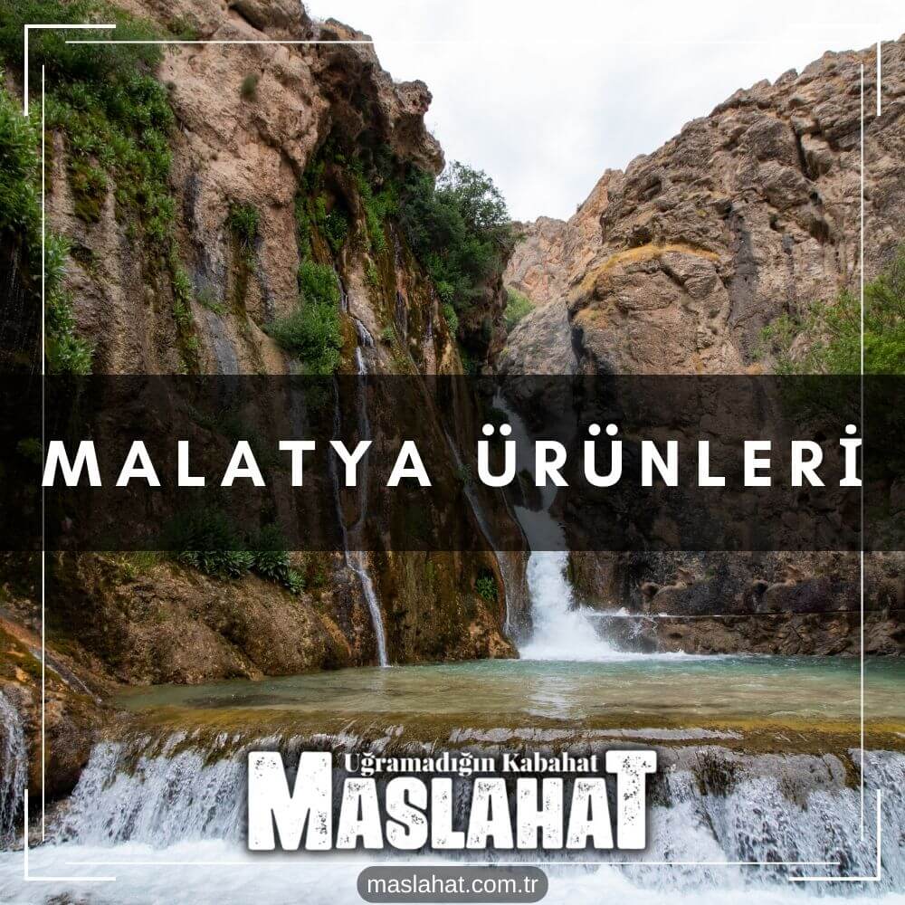 Malatya Ürünleri