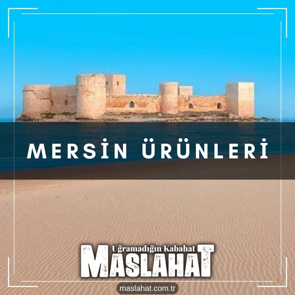 Mersin Ürünleri