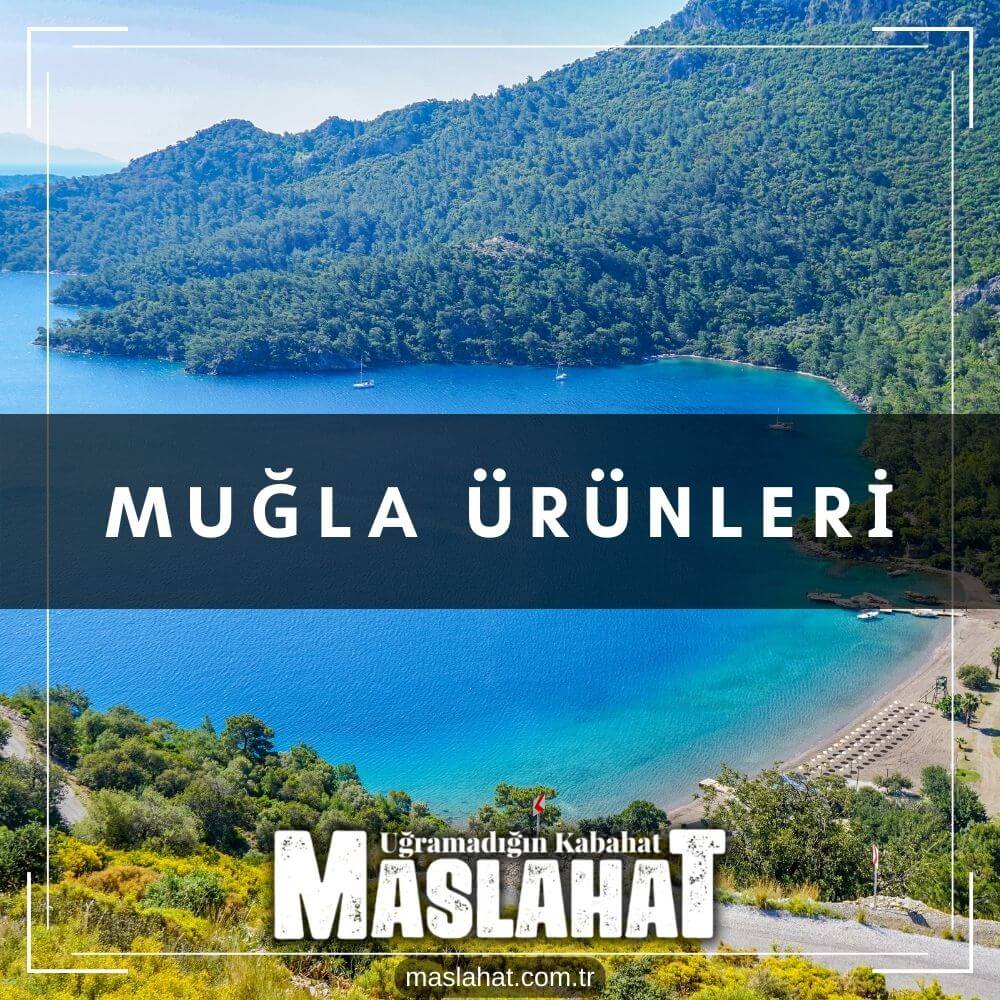 Muğla Ürünleri