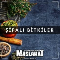 Şifalı Bitkiler