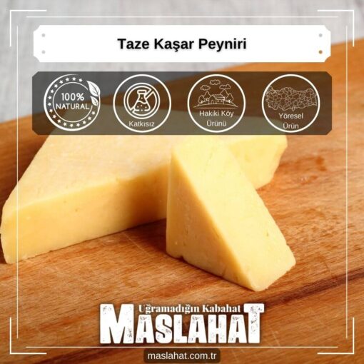 Taze Kaşar Peyniri-2
