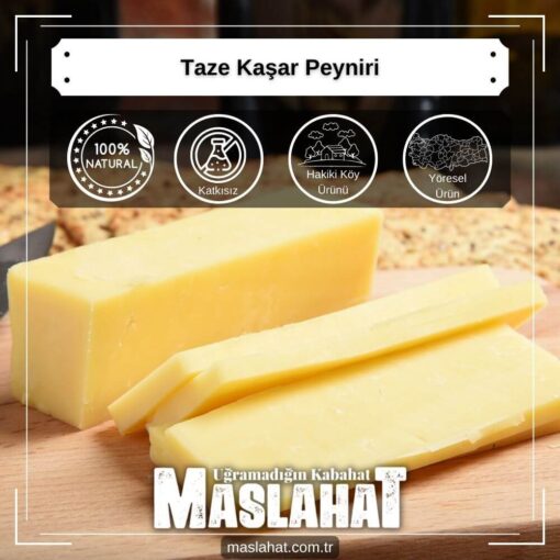 Taze Kaşar Peyniri-3
