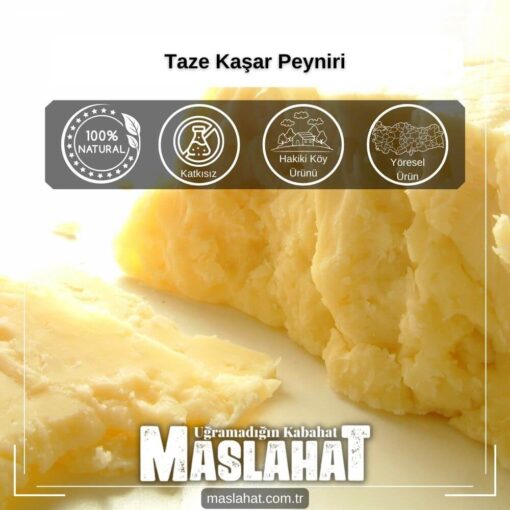 Taze Kaşar Peyniri-5