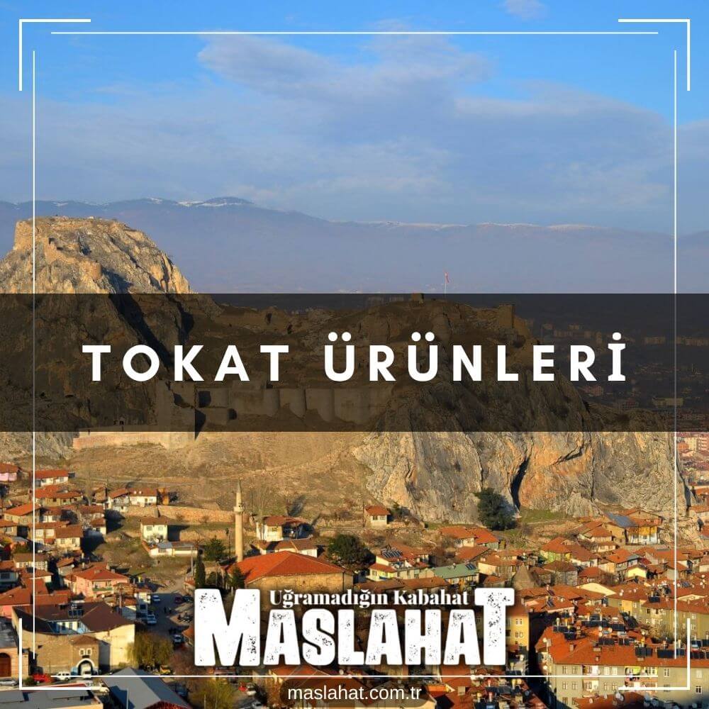 Tokat Ürünleri