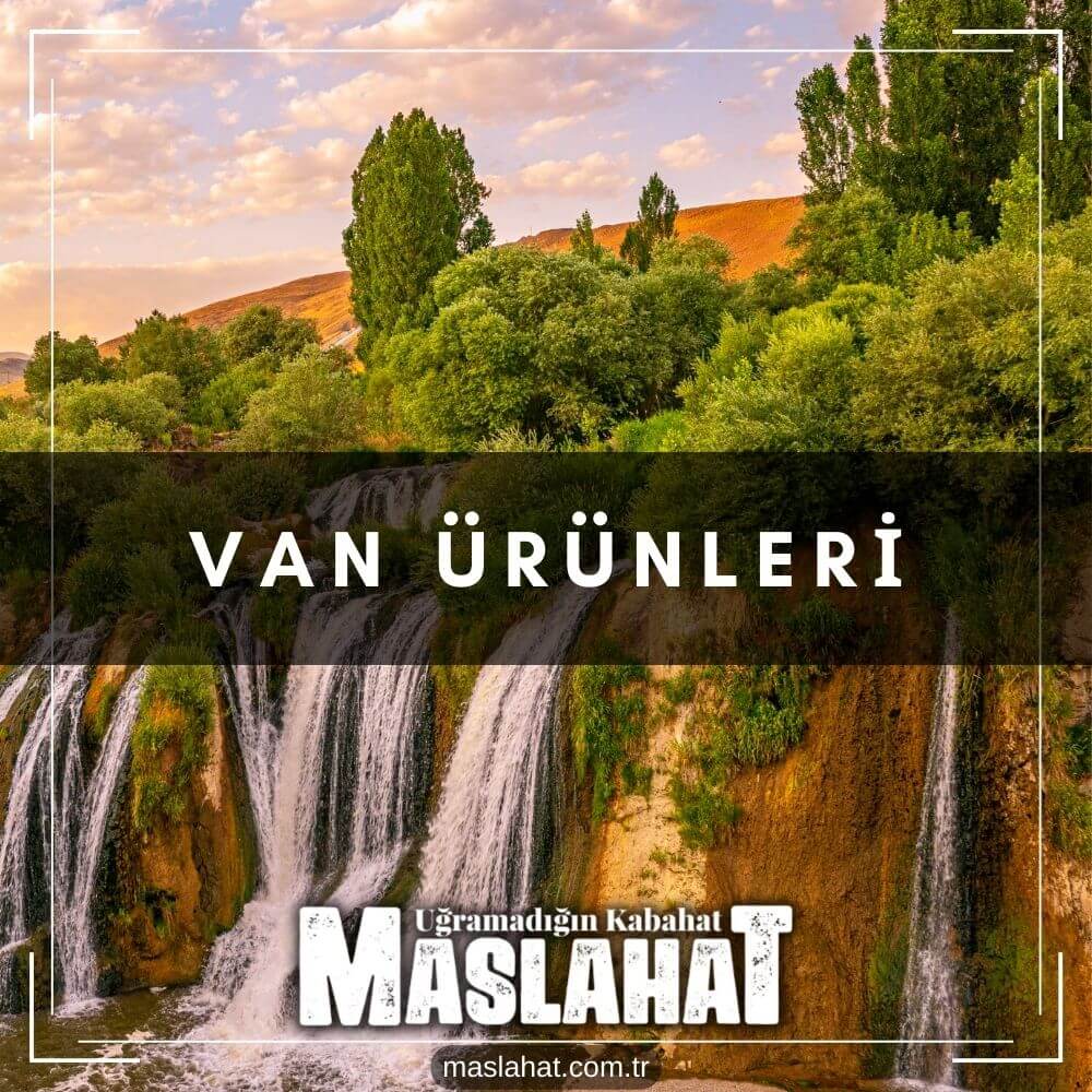 Van Ürünleri