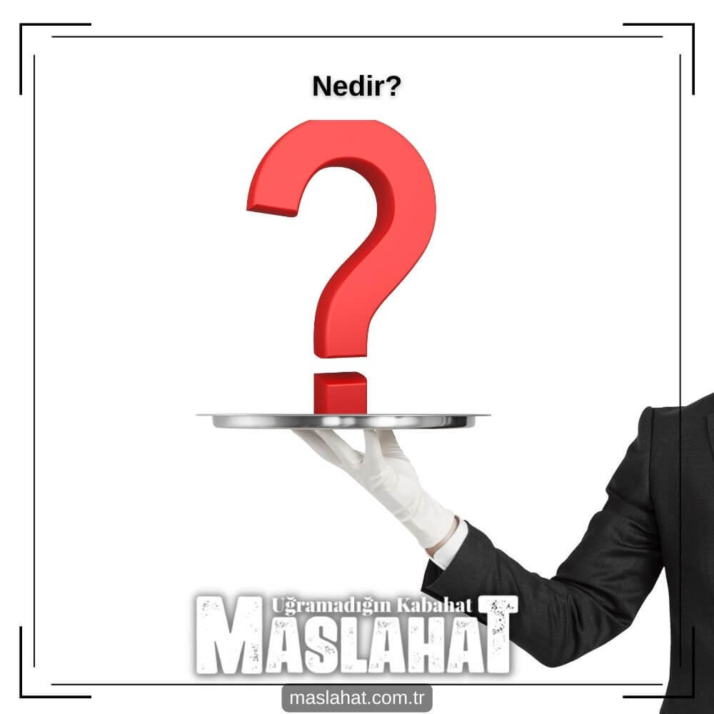 nedir