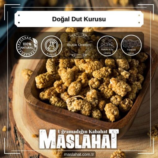 Doğal Dut Kurusu-1