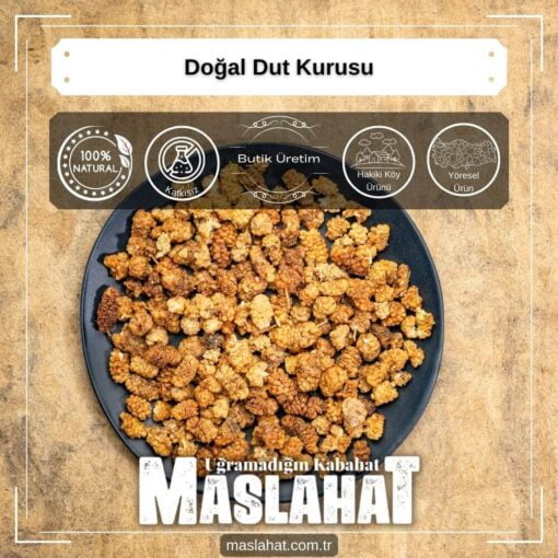 Doğal Dut Kurusu-3