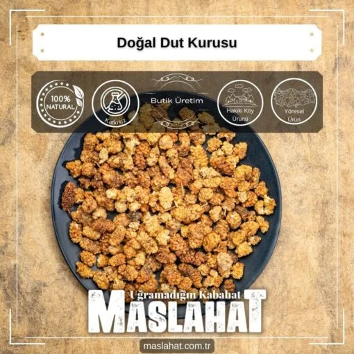 Doğal Dut Kurusu-3