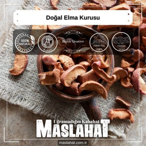 Doğal Elma Kurusu-2