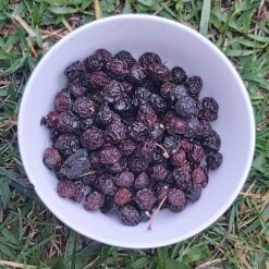 Doğal Vişne Kurusu (Çekirdekli) 1 Kg