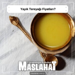 Yayık Tereyağı Fiyatları
