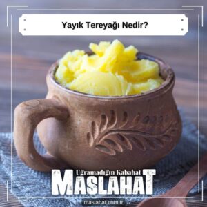 Yayık Tereyağı Nedir