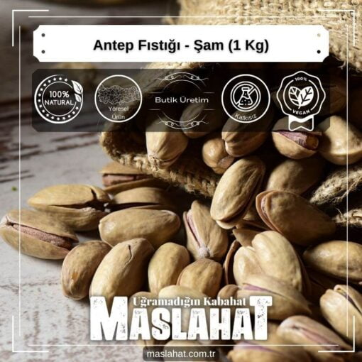Antep Fıstığı - Şam (1 Kg)-4