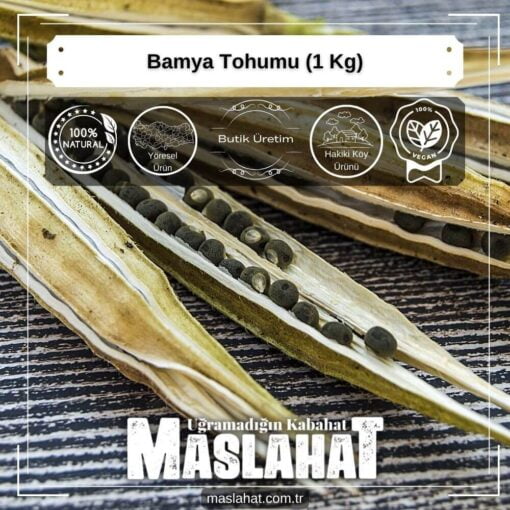Bamya Tohumu (1 Kg)-3