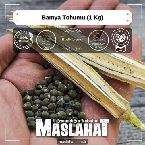Bamya Tohumu (1 Kg)-4