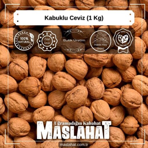 Kabuklu Ceviz (1 Kg)-4