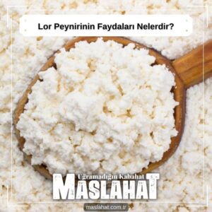 Lor Peynirinin Faydaları Nelerdir