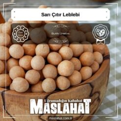 Sarı Çıtır Leblebi-4