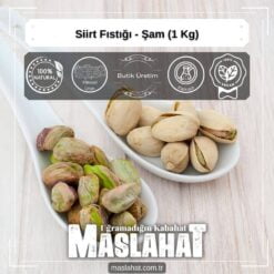 Siirt Fıstığı - Şam (1 Kg)-2