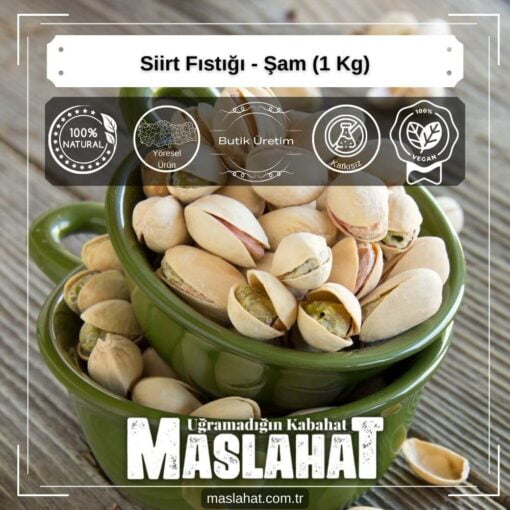 Siirt Fıstığı - Şam (1 Kg)-3