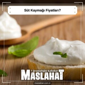 Süt Kaymağı Fiyatları