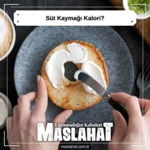 Süt Kaymağı Kalori