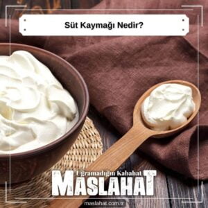 Süt Kaymağı Nedir