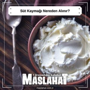 Süt Kaymağı Nereden Alınır