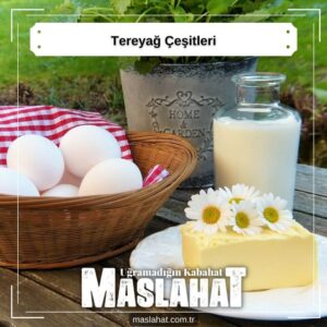 Tereyağ Çeşitleri