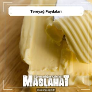 Tereyağ Faydaları