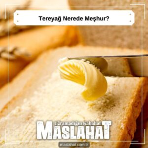 Tereyağ Nerede Meşhur