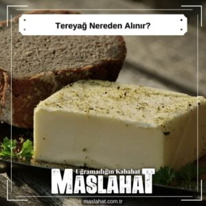 Tereyağ Nereden Alınır