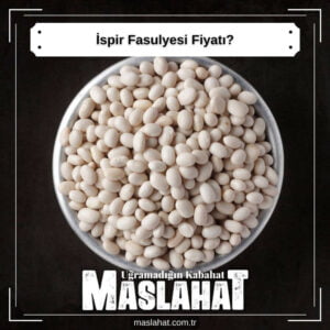 ispir Fasulyesi Fiyatı