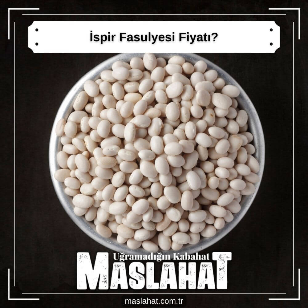 ispir Fasulyesi Fiyatı